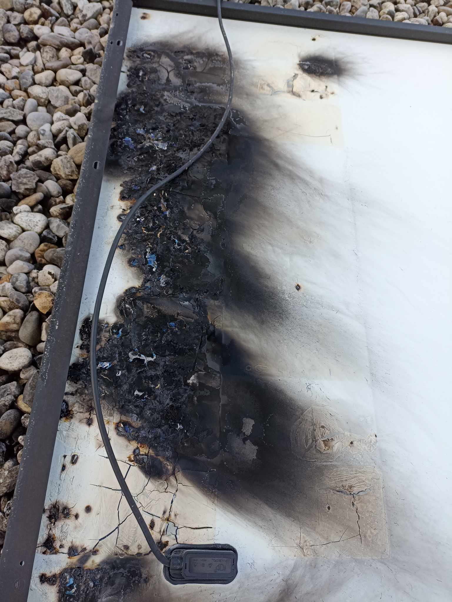 462641571_455678450953746_720298544888337838_n (1)